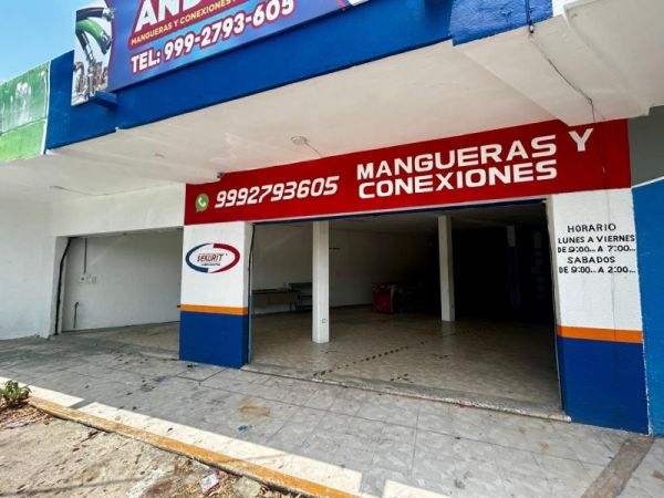 local comercial en circuito colonias sur 