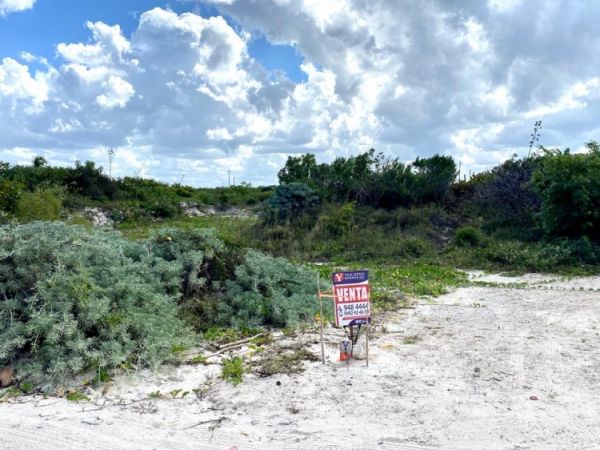 Terreno de playa en segunda fila en Uaymitun. Entrada