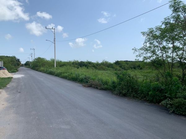 Terreno en renta a 100 metros de la carretera Mérida Progreso