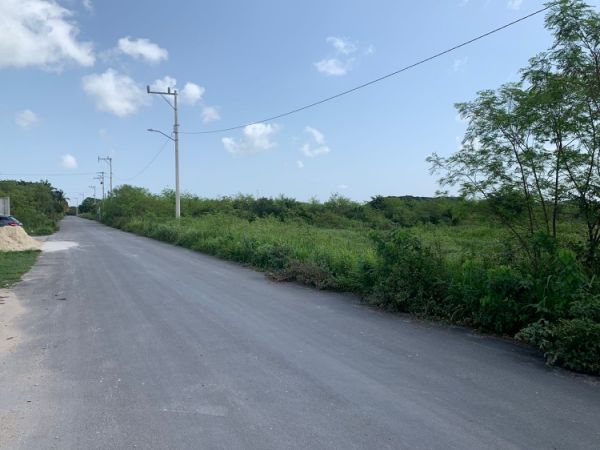 Lot for rent Paraiso area near Merida Progreso highway