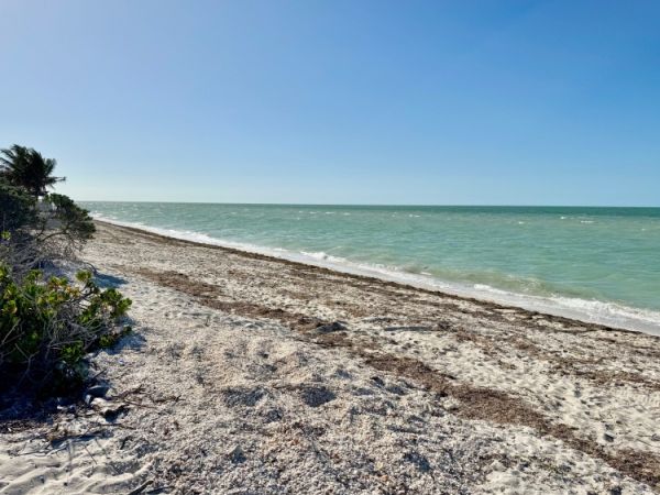 Oceanfront lot for sale in San Benito