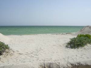 Furnished beach house at San Benito. Beautiful beach
