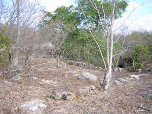 Property to restore with cenote at Cuzama 1