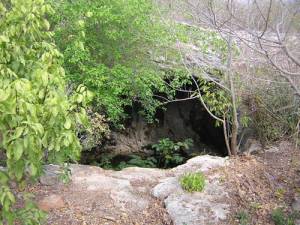 Casa con cenote de boca grande en Cuzama 2