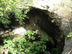 Property to restore with cenote at Cuzama 5