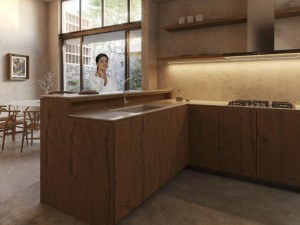 Casas en Venta al Norte de merida casas cuatas cocina 