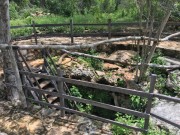 Cenote. Hacienda henequenera San Jose Poniente