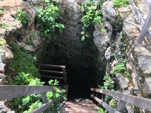 Hacienda henequenera San Jose Poniente. Cenote