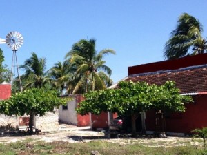 Rancho ganadero cerca de Merida