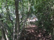 Cattle ranch near Merida. Access