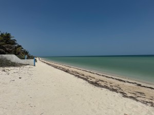  Siete lotes frente al mar en san benito