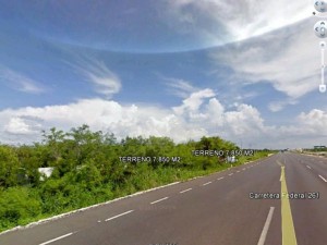 Terreno en renta en carretera Merida-Progreso