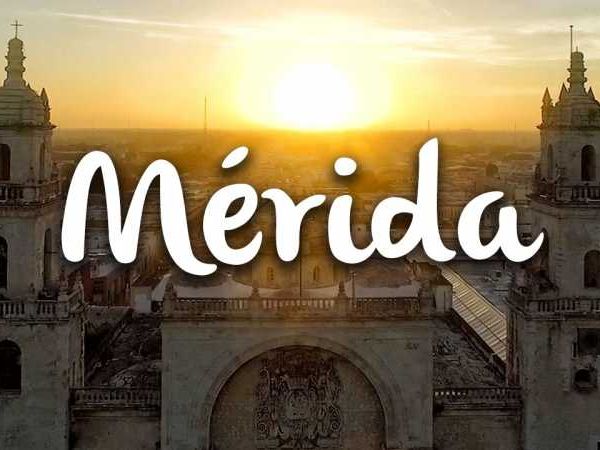 Texto alterno izquierdo español